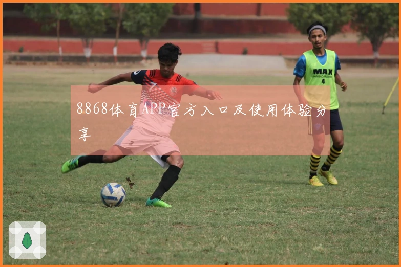 8868体育APP官方入口及使用体验分享