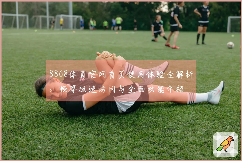 8868体育官网首页使用体验全解析，畅享极速访问与全面功能介绍